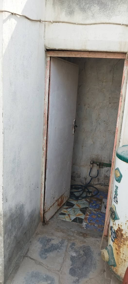بيبان • شيمان