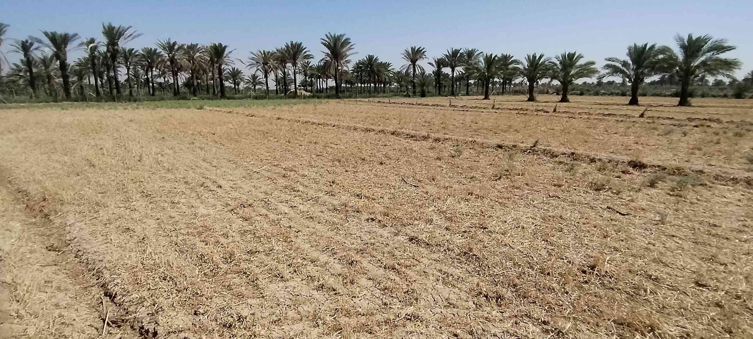 السلام عليكم ورحمة الله وبركاته .
أرض طابو زراعي سند ٢٥ للبيع في منطقة العلاك على جهة البحموسه تبعد عن الشارع العام الحمزة شوملي اقل من ٨٠٠ متر المساحة ٣ دونم .  مع توفر مياه سقي اللاستفسار أكثر عن السعر الاتصال على الرقم *********** او ***********
