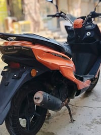 سترونك • هوشه • شغاله