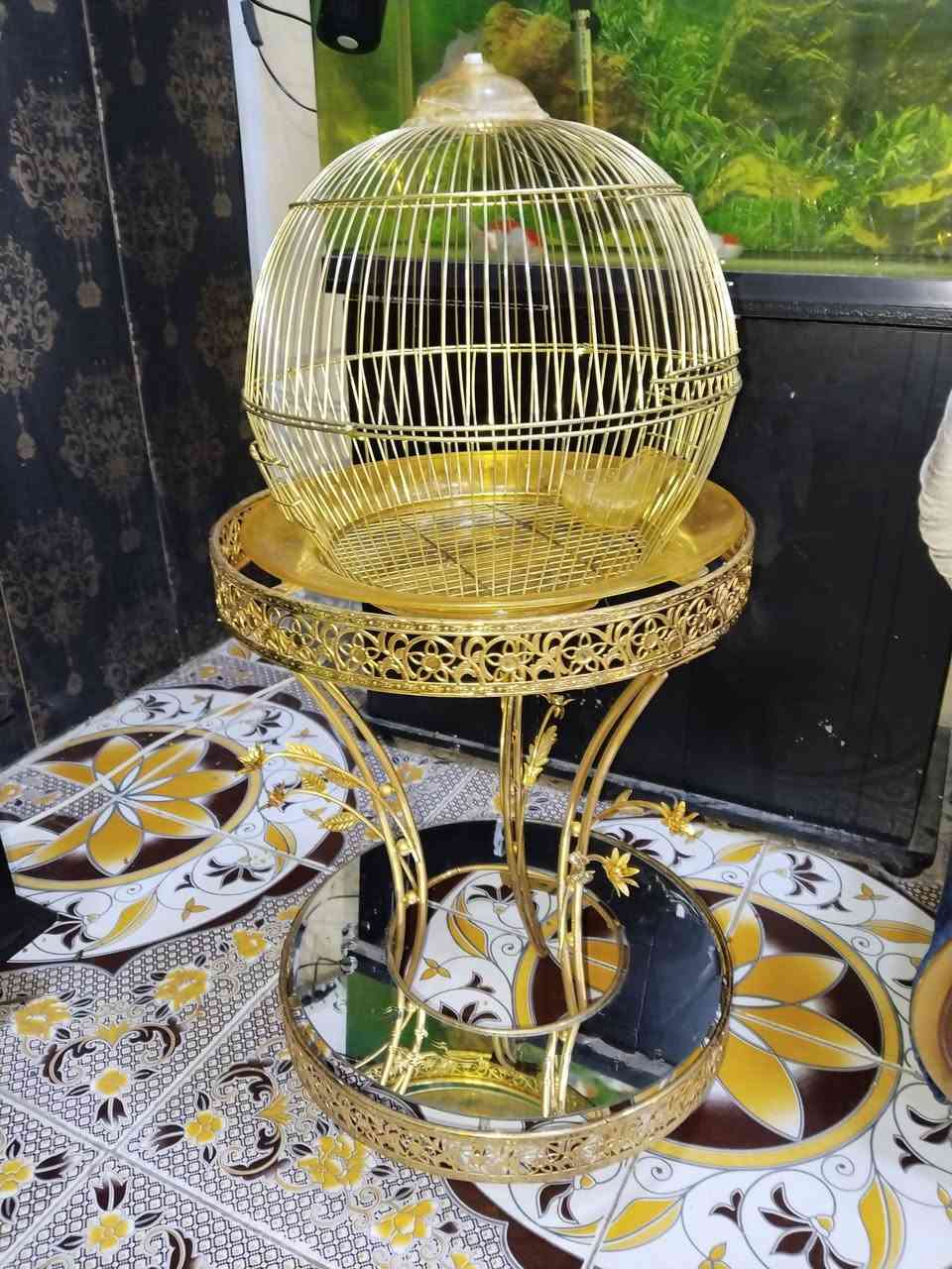 السلام عليكم
قفص ملكي للبيع سعر 25 الف 
ومرجوحه عش العصفور للبيع سعر 75 الف
بغداد الحسينيه الراشديه 
***********
