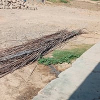 حديد • طن ونص • ستندر