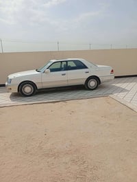 راس ثور البيع مكفوله من الكص ونقل العيب شرعي وصبق والمعجون مكينه وكير ...