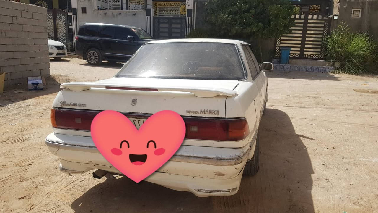 مارك عظم رقم انبار راعيها جيراني بالنجف ٣٥ وبيها مجال ومراوس ترهم ***********

