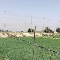 الازركيه • ٣٠٠م • طابو زراعي