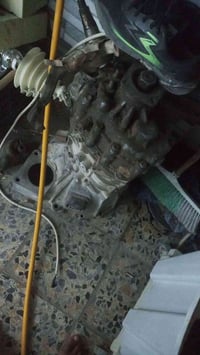 گير بريجو • داينمو