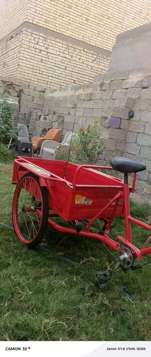 بسكليت • جديدة • بغداد