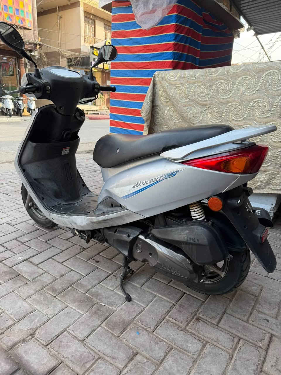 بغبغاء • كفاله • مصبوغ