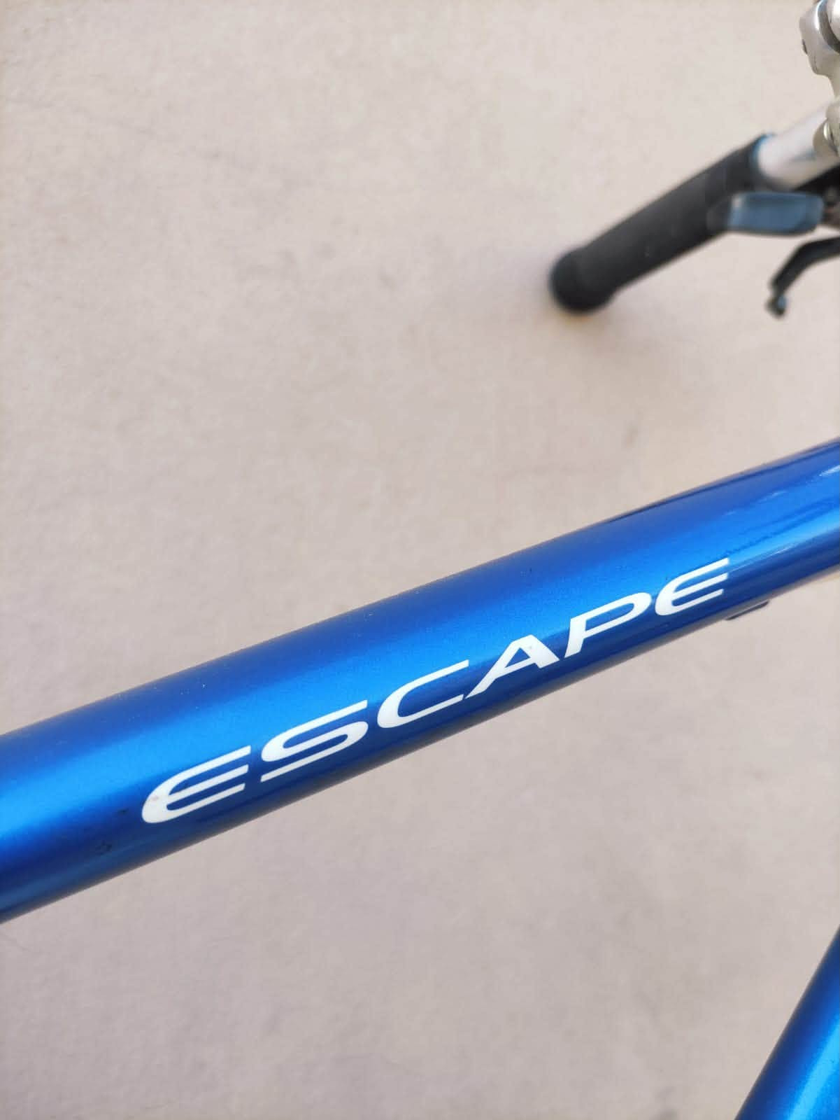 السلام عليكم

دراجه ماركة #GIANT_ESCAPE  جيانت اسكيپ العالميه ماركه 

غنيه عن التعريف صنع اصلي اورجنال MADE IN JAPAN🇯🇵اللون بحري يخبل 

حجم 28 (C700) فوول ألمنيوم خفيف جدآ فول انسيابي وسرعة

لشه مضلع موديل حديث ...سستم شيمانو كامل سيت شيمانو 

آلتوس #SHIMANO_ALTUS ...بدالات السرعه 3*7سحب دفع

#شاشه_حديث ....بريكات V_BRAKE بالمكان حتى الفحمات 

مختوم Giant ...وياله زووم طبقتين مختوم GIANT

مصصمة لتحمل الاوزان الثقيلة والطسات #DOUBLE_WALL

تايرات كتان اصليه  مختومه ختم الشركة #MAXXIS نقشه ناعمه

ستيرن نفخ حديث ستانس...آلنكيات سلايت وياله وسرج 

سرج اصلي مال شركة 

🔴الدراجة قطعه مال حاوية مامبدل بيها برغي على وضع الشركه بلاد ..ختم واحد

     ليبل واحد حتى المطارة مختومة #GIANT

      بدون اي نقص كامله وجاهزه 100٪ 

👈 يجي ويا عداد سرعه إلكتروني بقياس اكثر من 3 سرع وقياس الارتفاع 

لد بگلايت اضائه حمراء  
مع نظارات قياده جميله جدا 👓 

المكان / كربلاء ....السعر 240 (ثابت_نهايتة)

يوجد توصيل بغداد وجميع المحافضات العراقية 

رقمي ***********
