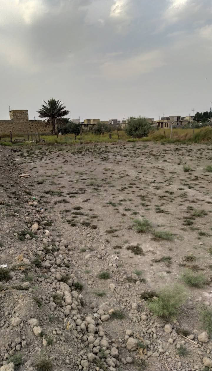 قطع أرض • بابل الزراعي • من ١٥٠م