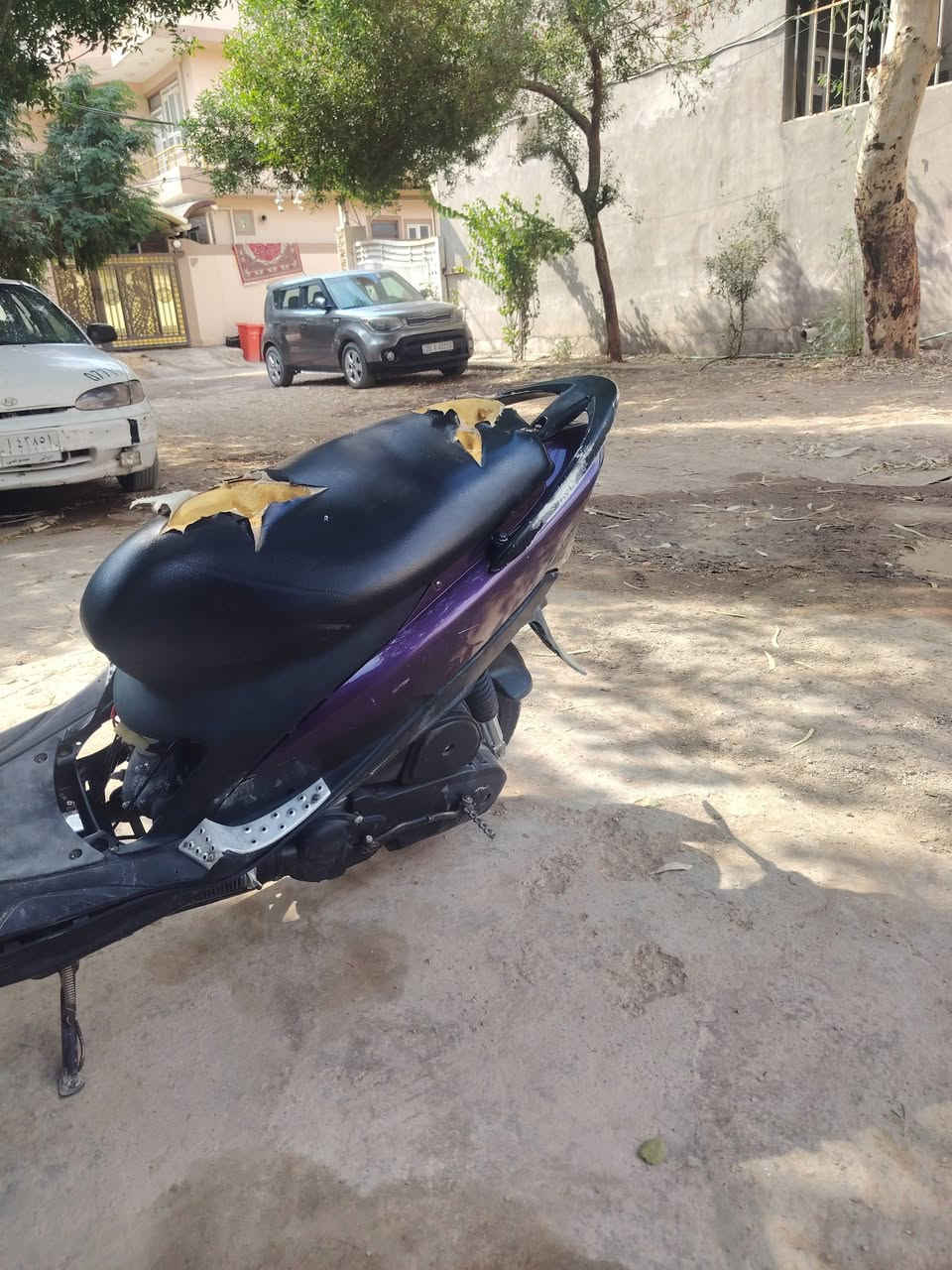 ماكس عدلة • بوشه49 • كهربايات