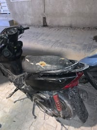 ثعلب • تبخير • كلج خلفي