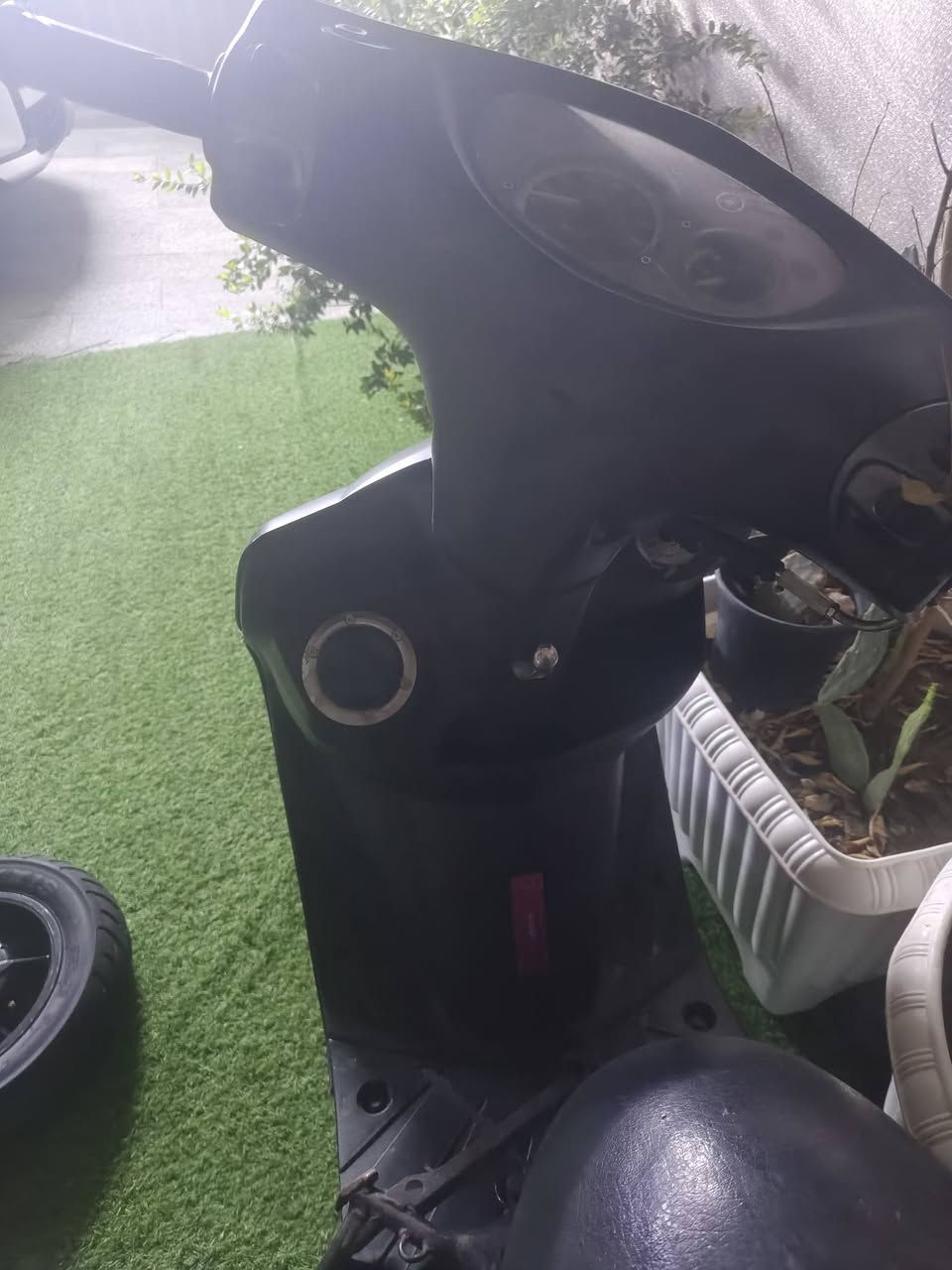السلام عليكم شباب دراجة GTR  ثعلب
كاملة مكملة نقص بس مكينة 

شاصي كرزي بلادي 
ضفيرة بحالة الوكالة دبلات 
كفرات أسود طافي 
الدراجة متروسة براغي أي برغي بلادي ما بيهة 
بيهة ويالة مال جي تي آر 
تايرات الأمامي مترتMTRT
الخلفي MAXXlS مال سباق 
مكاني شارع فلسطين ول يدور طكة ناقص لا يجي 
***********
