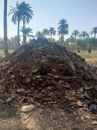 سمات مكلف • نجف الكوفه • للبيع