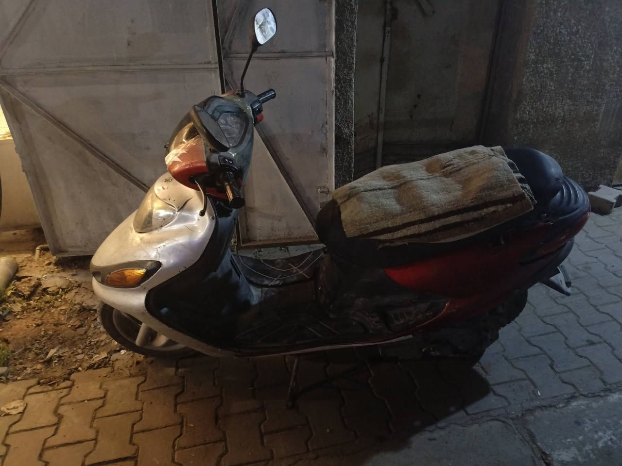 جمجمه • شغاله • هيت