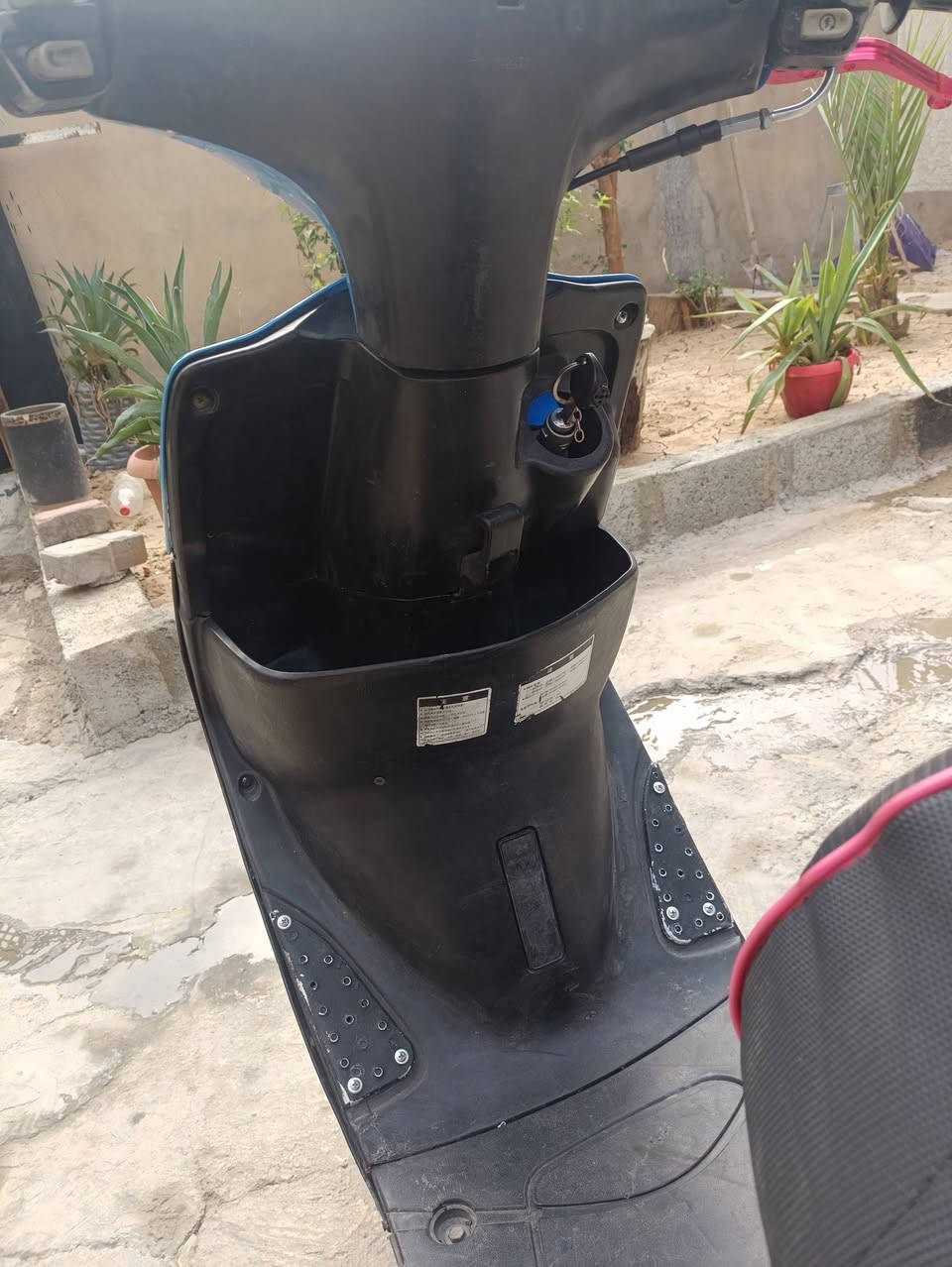 ماكس عدلة • للبيع