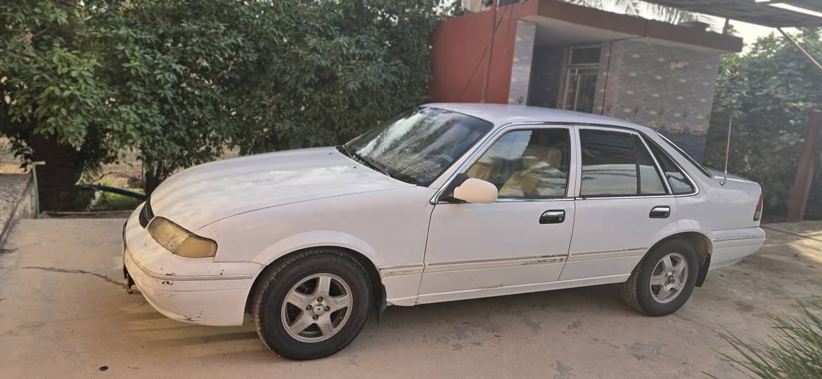 برنس فراشة • ٩٦ • رقم بغداد