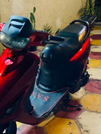 فراشة فحل • نضيف • كهربائيات