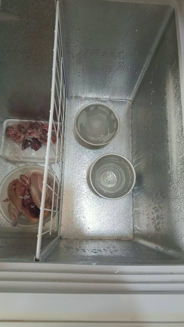 مجمدة • حجم كبير • تجميد فول
