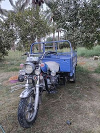 ستوته • مراوس • ٢٠٢٣