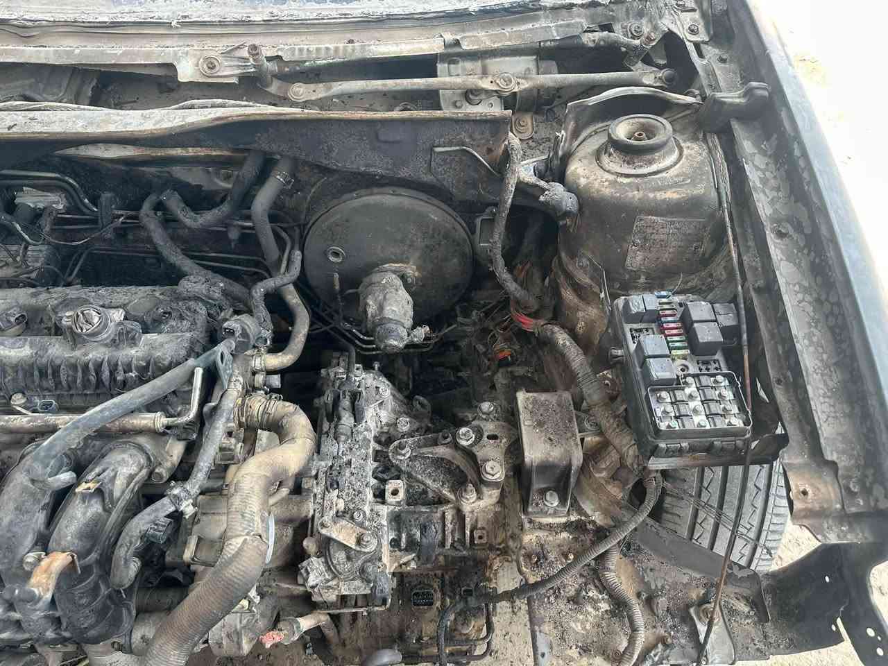 برلنياس FSV • ميكانيك سليم • بابل المسيب