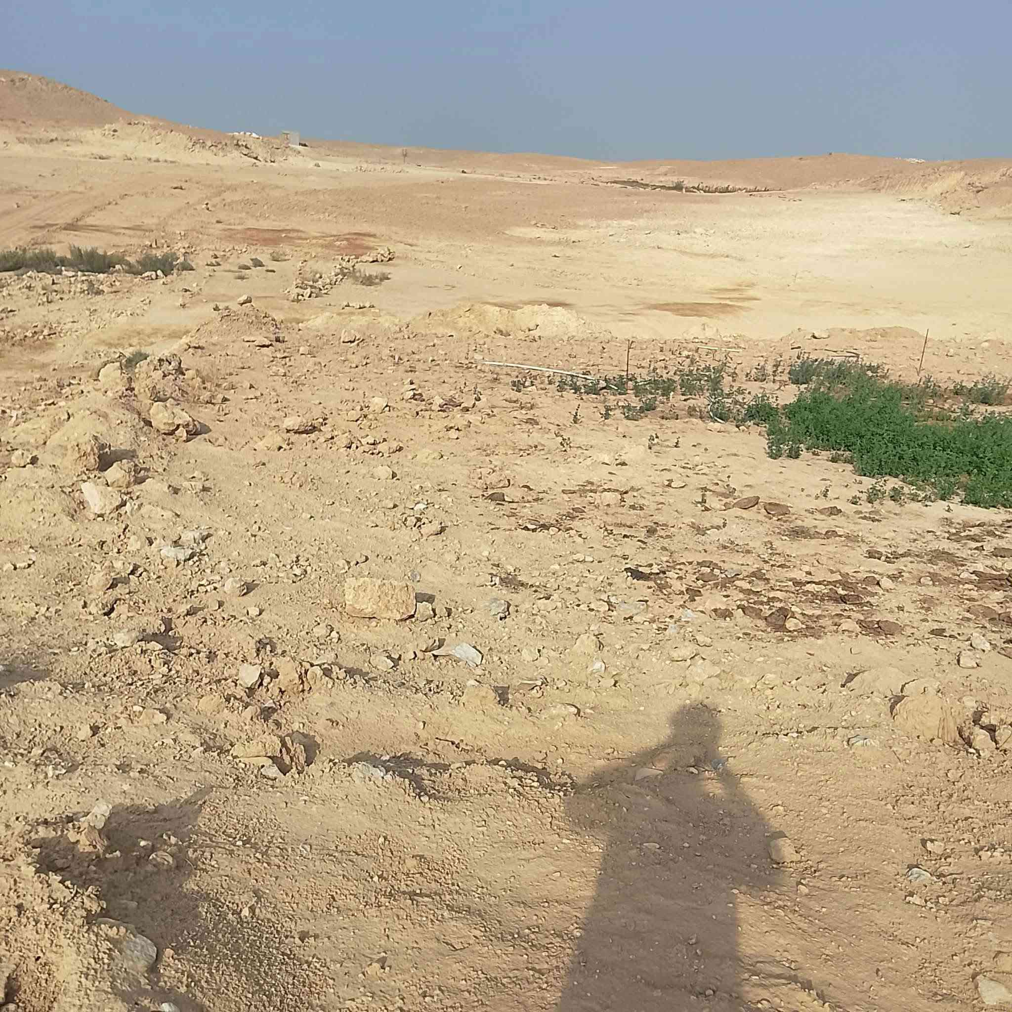 قريب معمل جمال • قطعتين • ٤٠٠م