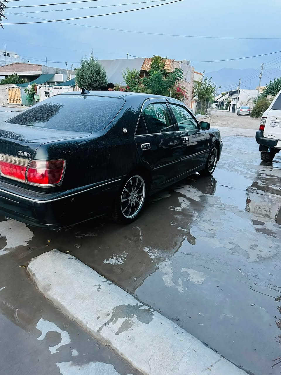 بشرط • بدون دعم • سيد صادق