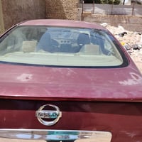 التيما • ٢٠١١ • قطع وصبغ