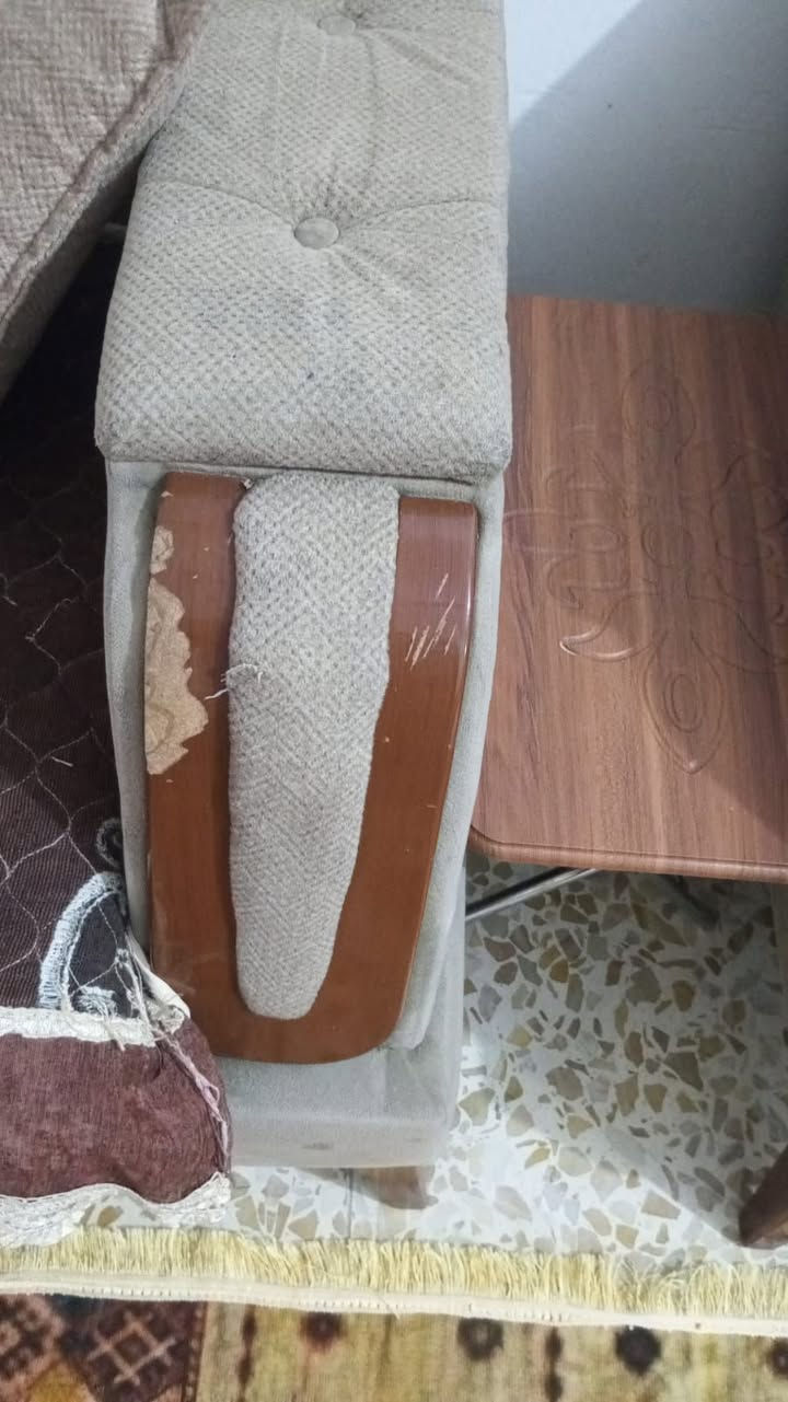 تخم تركي • ١٠مقاعد • بغداد الدورة
