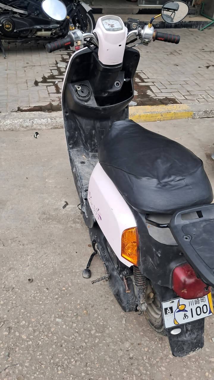 بوليسي • شغالة • سلف