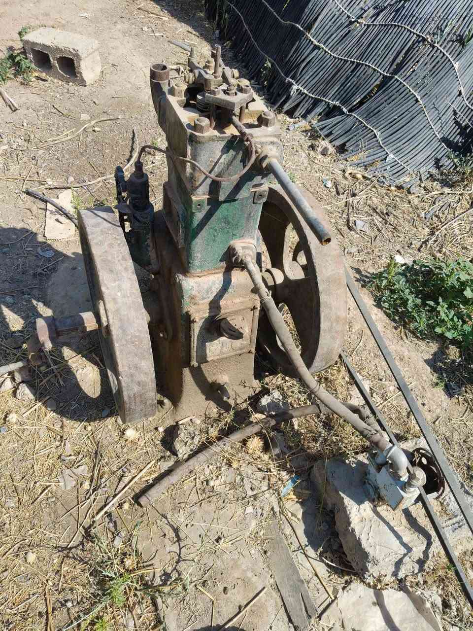 لستر فلد مارشال مع خنزيره تونسيه+خنزيره هنديه 
الاتصال ***********

