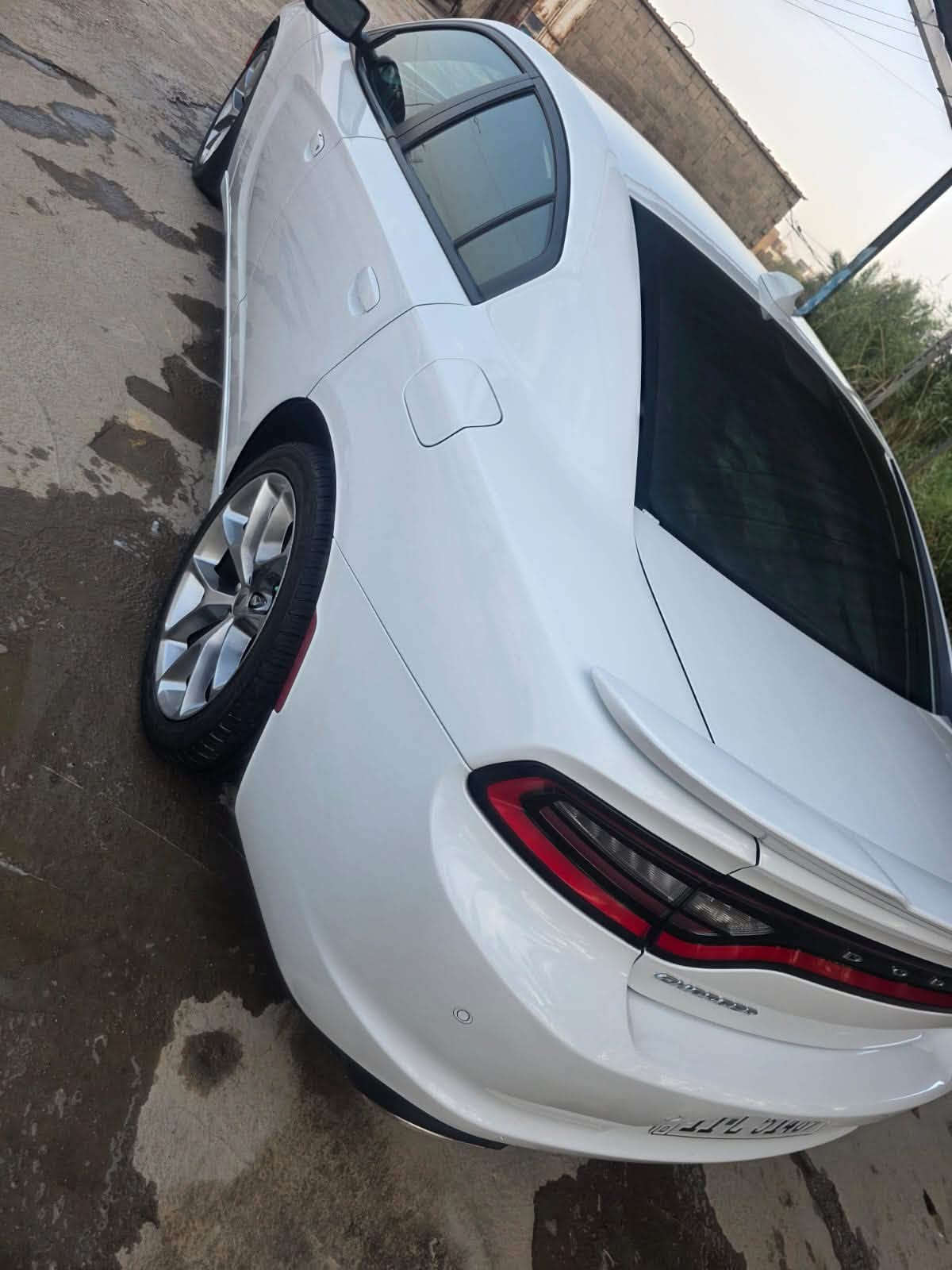 تشارجر SXT • موديل ٢٠٢٢ • رقم بغداد