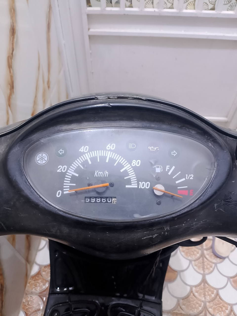 مفتوحه • سلف • شغاله