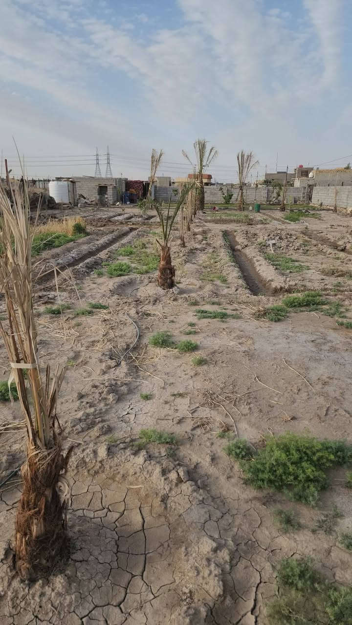 قطعة أرض للبيع في زراعي حي الجامعة  سند 25 ، خدمات كهرباء وماء ومجاري مشمول بالجهد الخدمي المساحة 1000/م للتواصل: ***********
