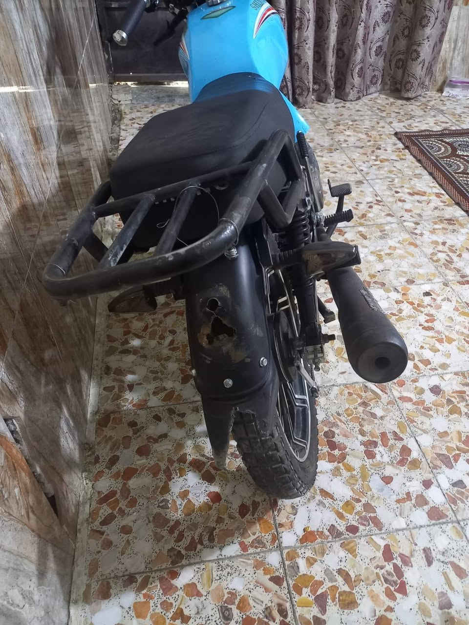 شاينك • ٢٠٢٤ • تحويل مباشر