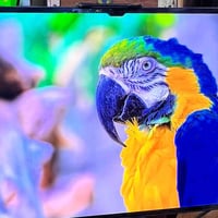 Samsung Galaxy Tab S8 Ultra5G 256ذاكرة رام 12 حجم الشاشة 14.6سوبر أمول...