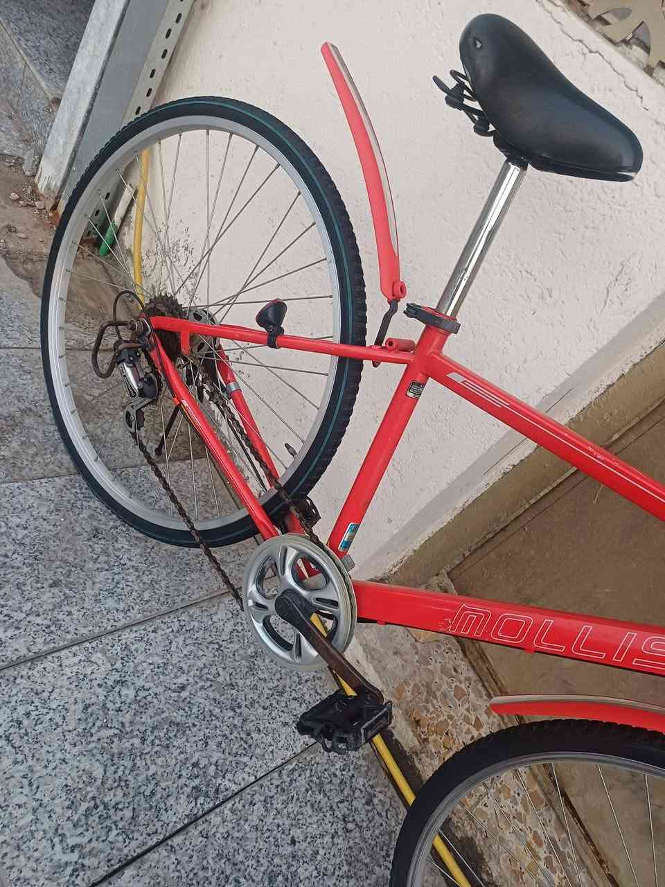 للبيع بايسكل ياباني C700حجم 27 تايرات جدد ام خط الازرك
بريكات شغاله 
كير ابو الشاشه شغال 
كشن طبي
ويل امامي ابو الحساس  (( السعر 85 الف ))
المكان بغداد البنوك او الكياره ***********
