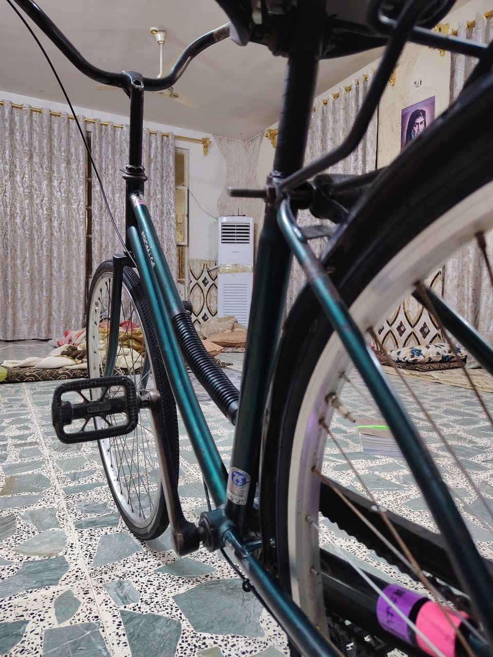 بايسكل • زيتوني • بتعاليق