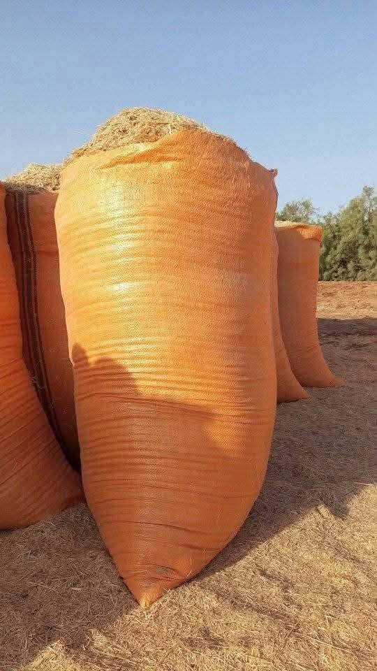 مرحبا
تبن نضيف بسعر مناسب للعربانة تبن ابيض
جياس 
70
90
60
80
واهلا وسهلا بالجميع 
يوجد توصيل في 
ديالى والمناطق مجاوره الخالص 
***********
