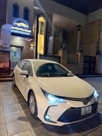كورلا خليجي • ٢٠٢٥ • بصرة جبيله