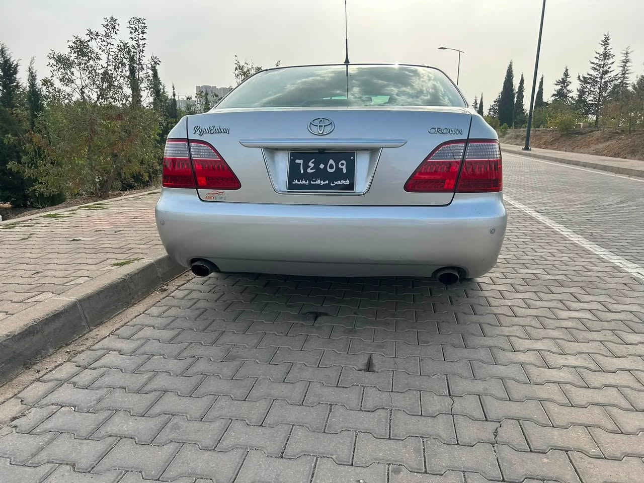 شاهينه براوه • ٢٠٠٧ • رصاصي
