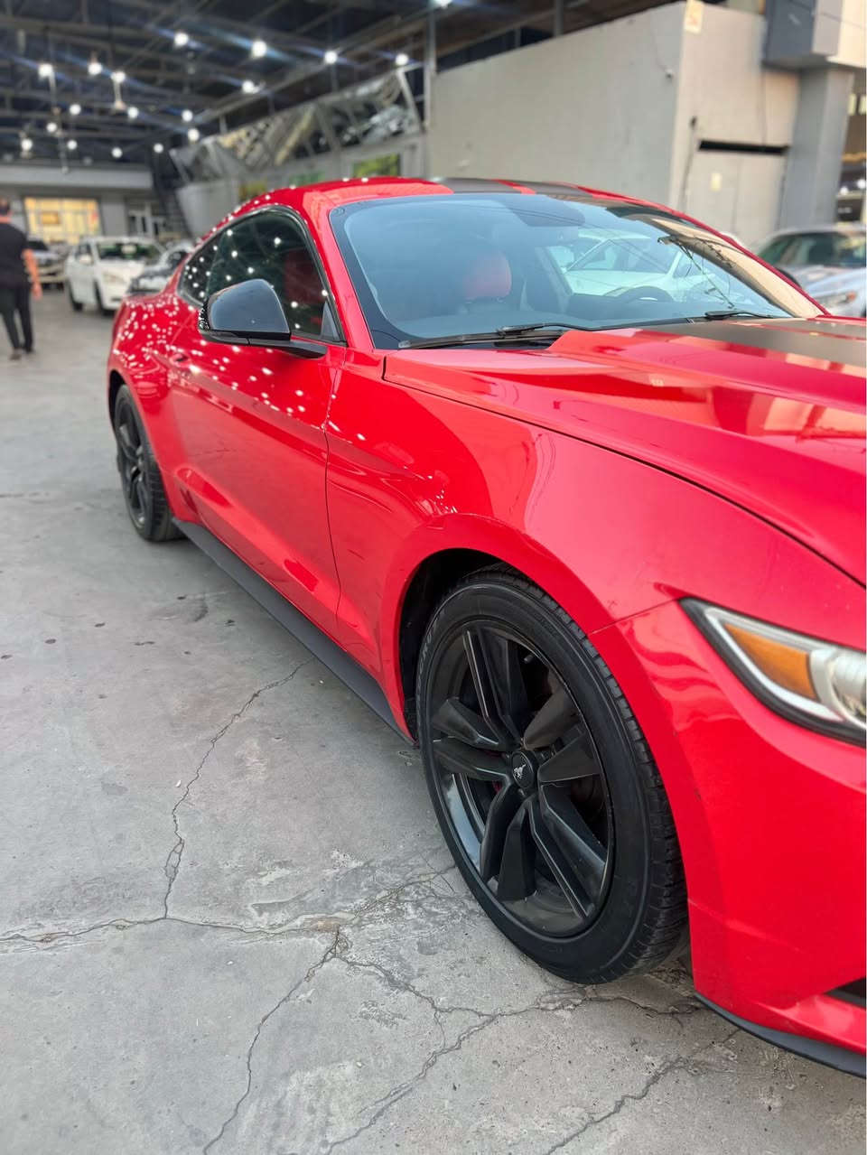 FORD MUSHTNG
موستانگ مودل2015 شه ريكه NIVA سياركه خه ليچي بي سبوخ بي تعديل كلينه سياركه eco bosta V4 هه مو شتي به شه رت 

سعري:115 وه ره قه 
رقمي ساحيبي*********** أربيل, العراق
