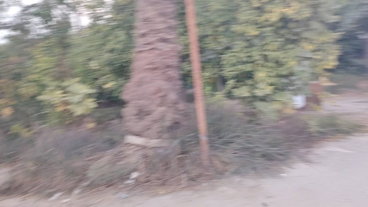 ارض للبيع • ٢٠٦م • ركن واجهة ١٢،٥