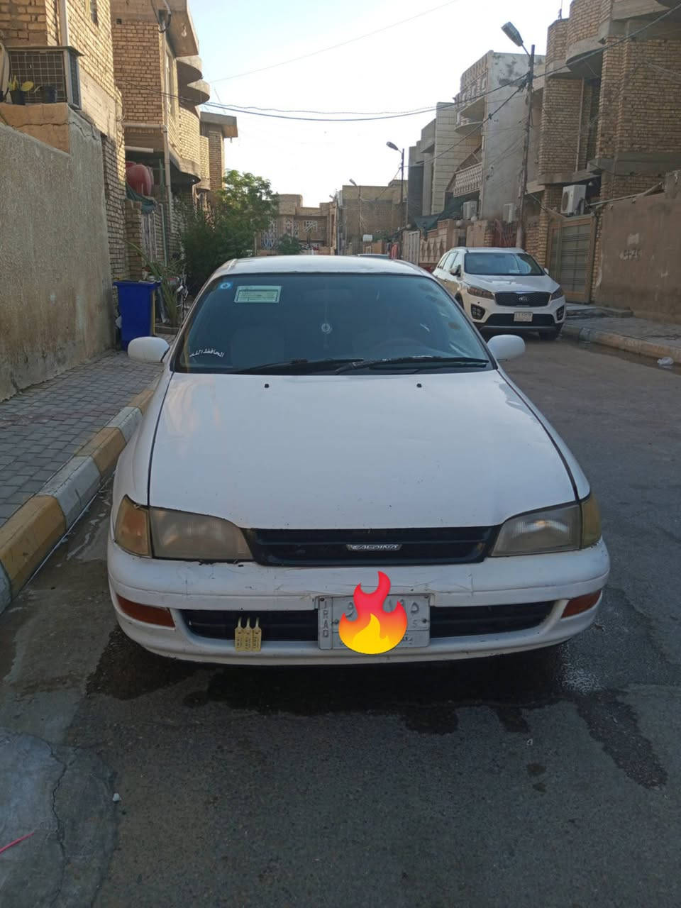 كورلا • الكوت • بدون مراوس