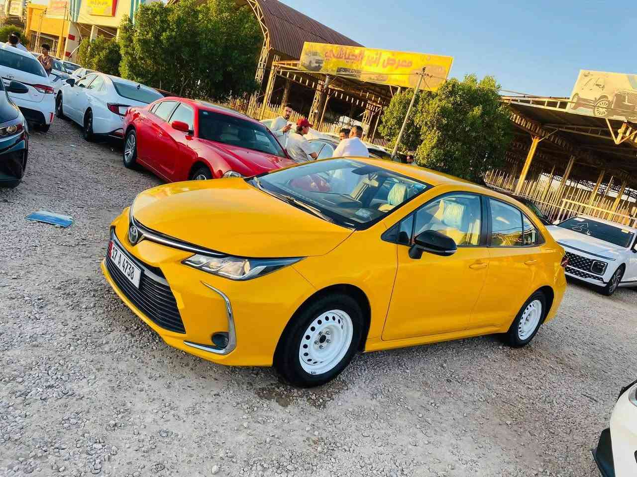 السلام عليكم سياره كورلا مديل 2023 خليجي تبريد ثلج تحكم سرعه وتحكم استيرن المكان الديوانيه قضاء البدير السعر 140 وبيها مجال لشراي مكلف بل نشر رقم صاحب السياره ***********
