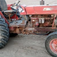 عنتر 121 • رقم وسنوية • مكفول