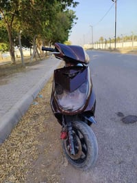 سكنس فحل • ياباني • كابريتر