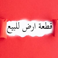التوزيع الجديد النصار • ٢٥٠م • قطعة ٣١١١