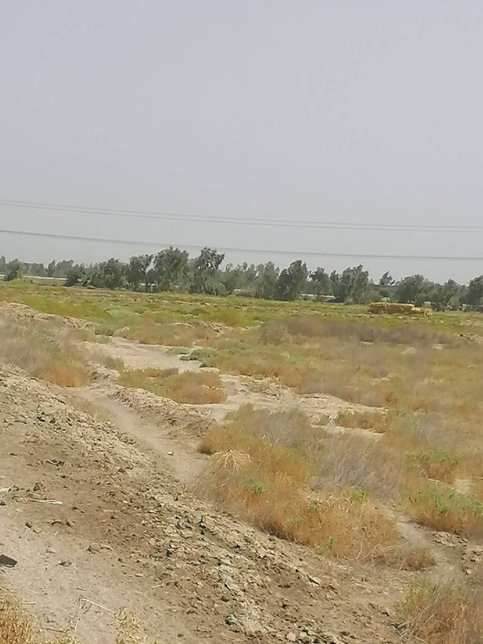سلام عليكم
@إشارة قطعه للبيع 8 دونم تبعد عن طريق حله نجف 4كيلو صالحه للزراعه ماء سقي شتاء صيف شارعها 7 متر واجهية الارض 40 متر 
نوع العقار عقد 24 مفوضه بالطابو مجرت اتشجرها تتطوب بسمك القطعه حدود الرارنجيه وسعرها كلش مناسب 6 مليون للدونم وبيه مجال 
للاستفسار اكثر مراسلة الصفحه او الاتصال بالرقم الموجود بالمنشور 

*********** /***********
