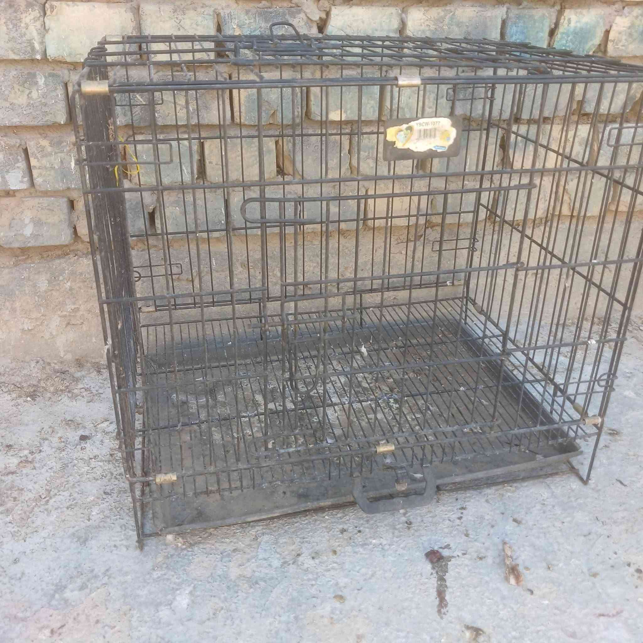 متاح .
قفص حديد عرض مترين ارتفاع متر داير ميدور شبج لحيم يدات جانبيه سكف جينكوة  .
وقفص يرهم مال قطط بغبغا كوكتيل خانه عرض ٦٠ ارتفاع ٤٥ نزال ٣٥  ثنينهن ب ١٠٠ بغداد المعامل ***********
