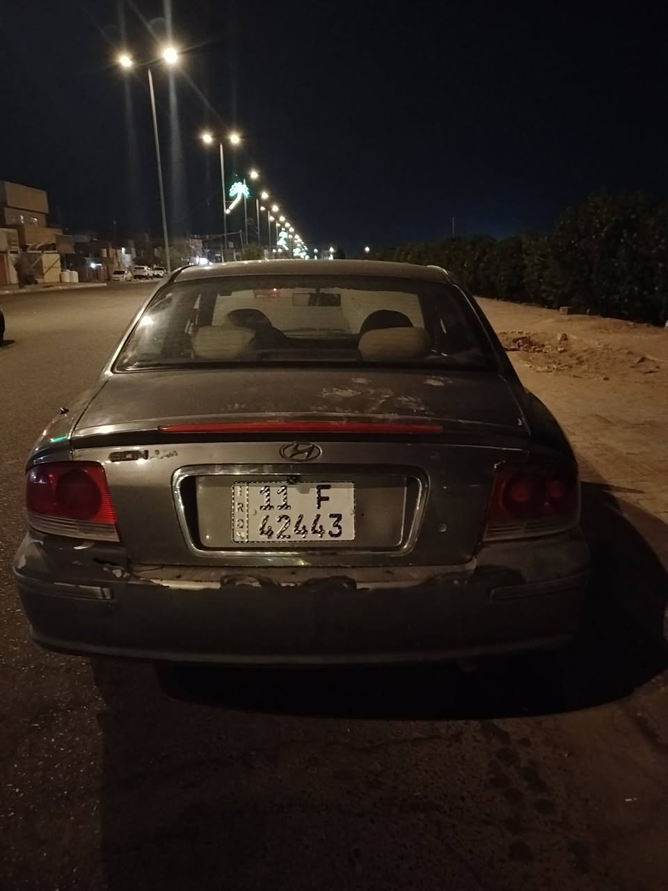 سوناتا ٢٠٠٢ • أوراق جاهزة • سنوية ٢٠٣١